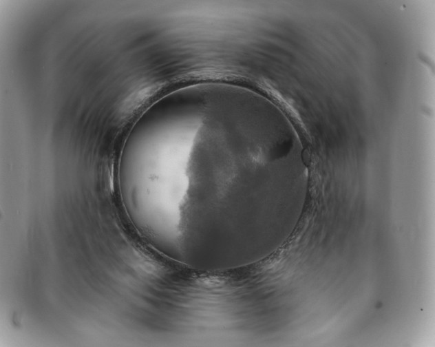 X0000091290062200708171355