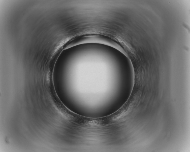 X0000091290064200708171355