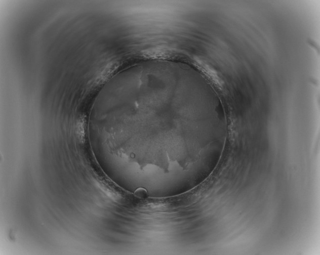 X0000091290065200708171355