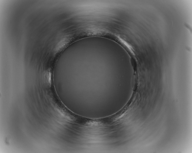 X0000091290067200708171355