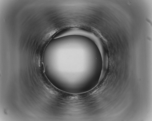 X0000091290068200708171355