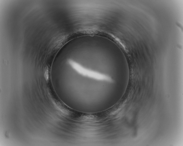 X0000091290069200708171355