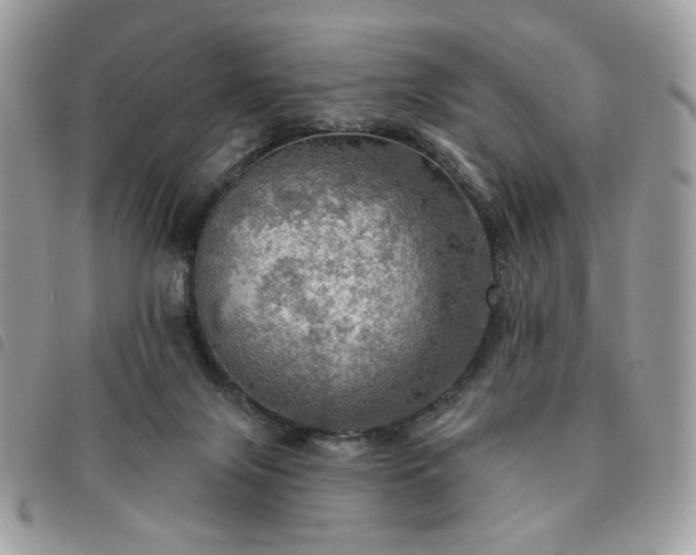 X0000091290071200708171355