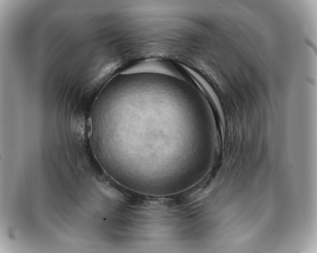 X0000091290072200708171355