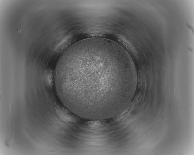 X0000091290074200708171355