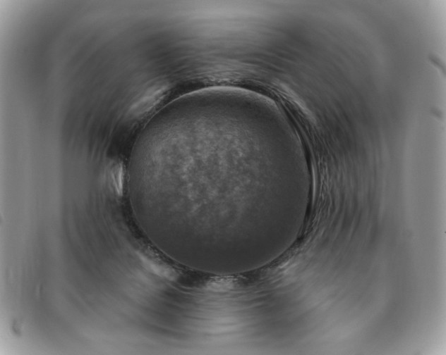 X0000091290076200708171355