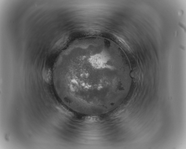 X0000091290077200708171355