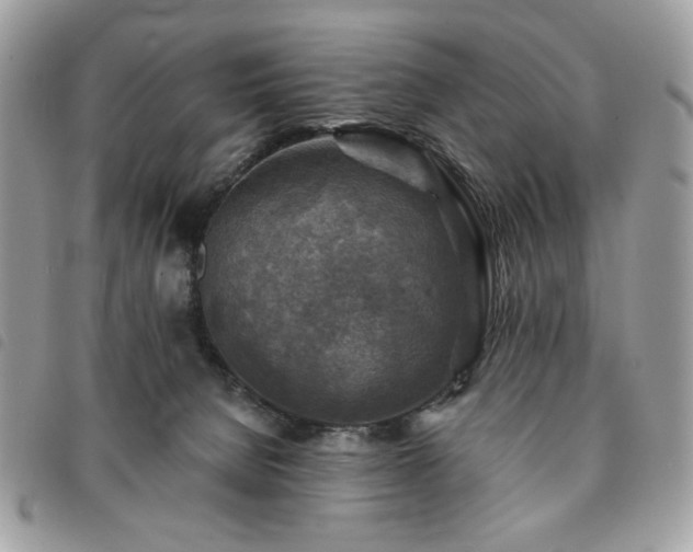 X0000091290080200708171355