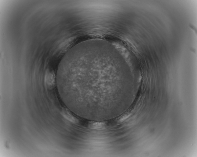 X0000091290081200708171355