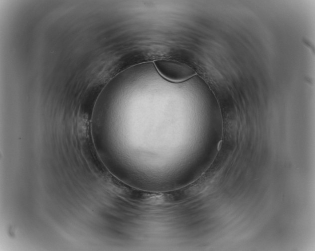 X0000091290083200708171355