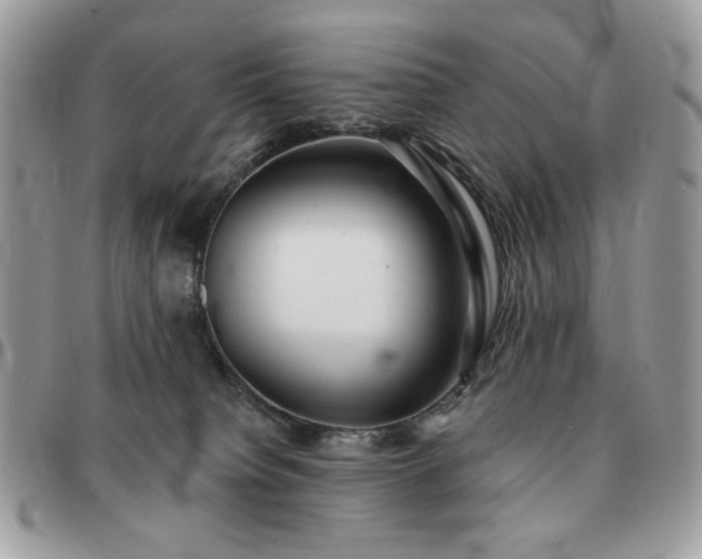 X0000091290084200708171355