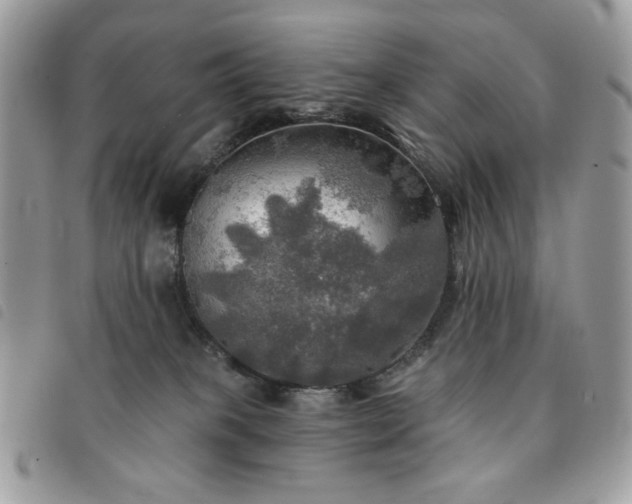 X0000091290085200708171355