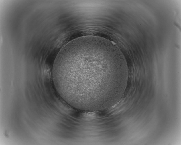 X0000091290086200708171355