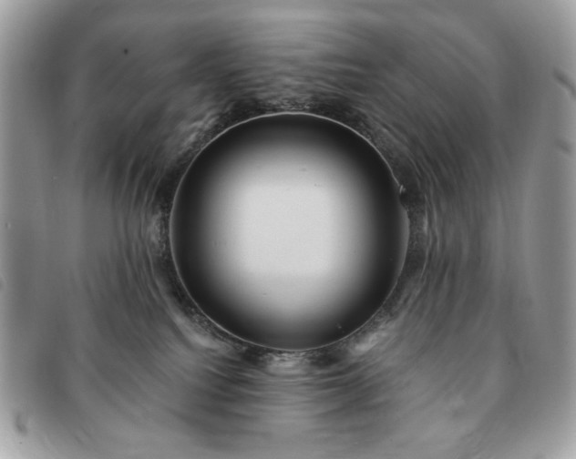 X0000091290088200708171355