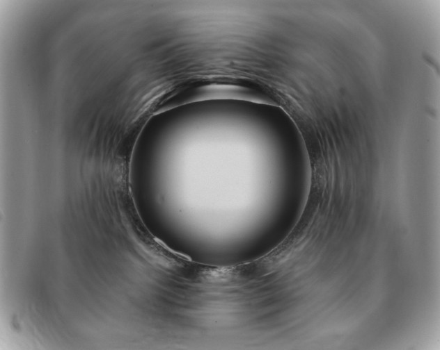 X0000091290092200708171355