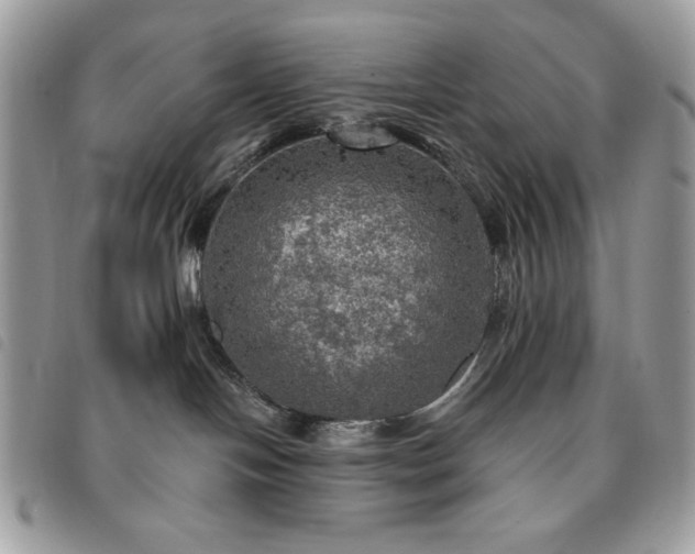 X0000091290094200708171355