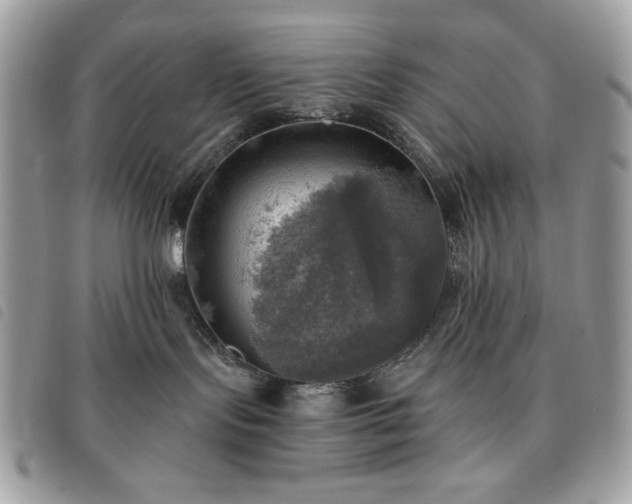 X0000091290095200708171355