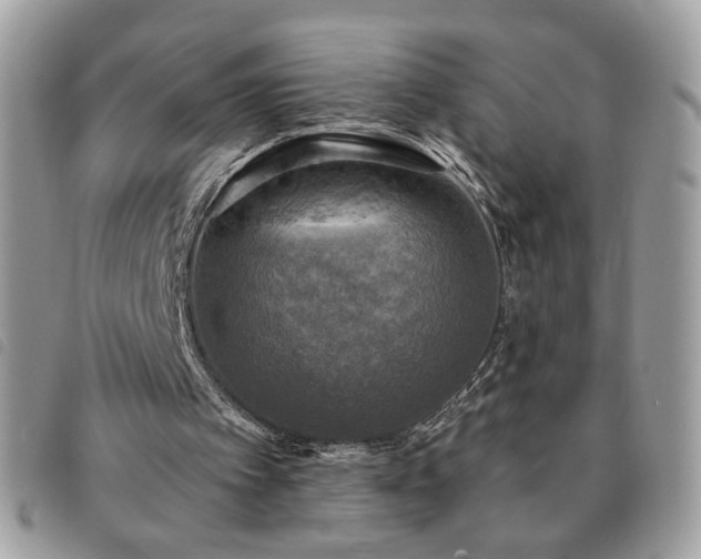 X0000091290097200708171355