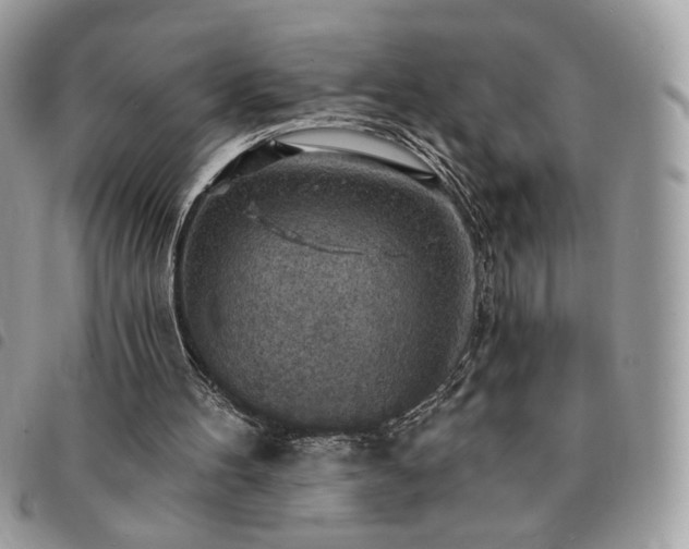 X0000091290100200708171355