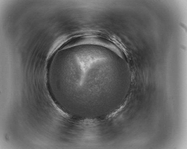 X0000091290101200708171355