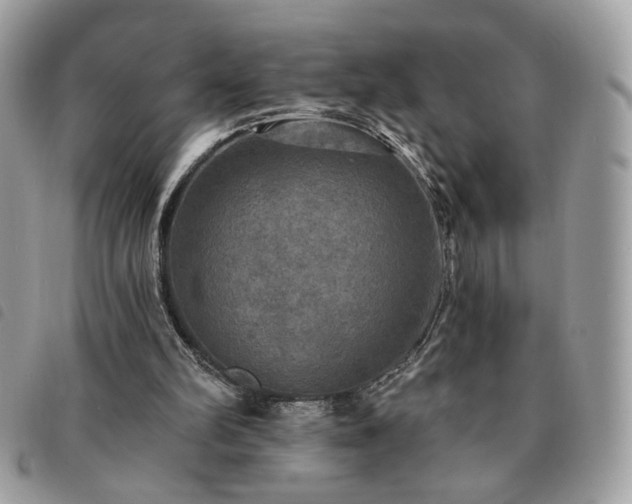 X0000091290102200708171355