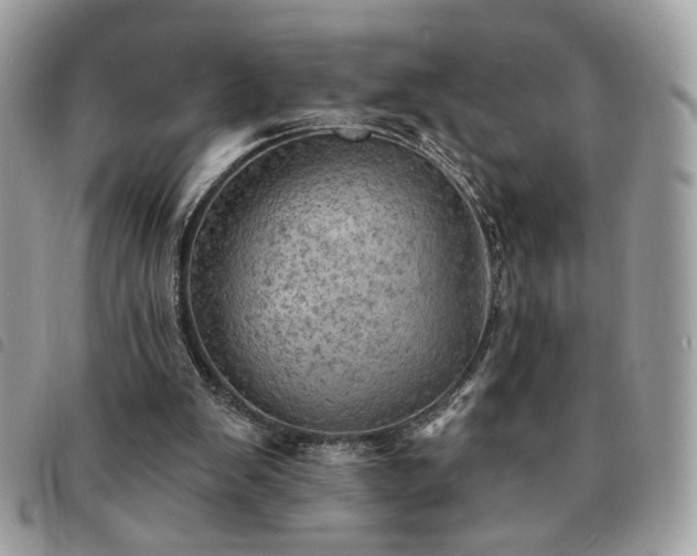 X0000091290103200708171355