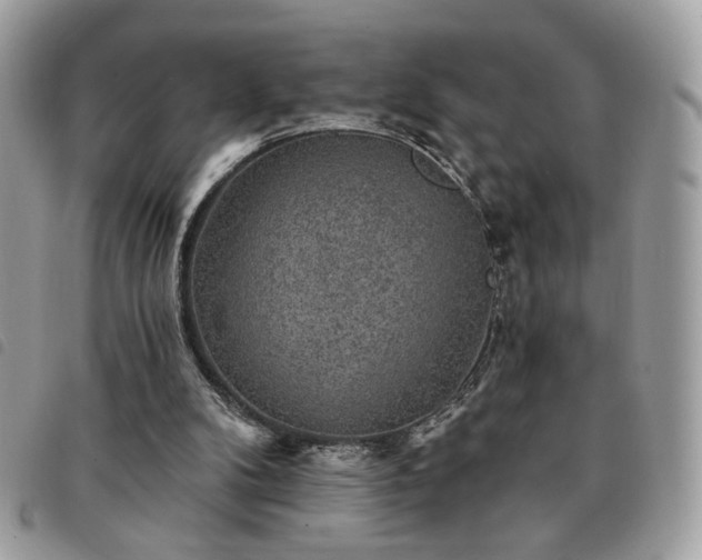 X0000091290104200708171355