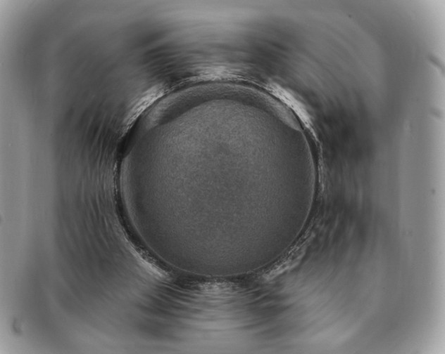 X0000091290105200708171355