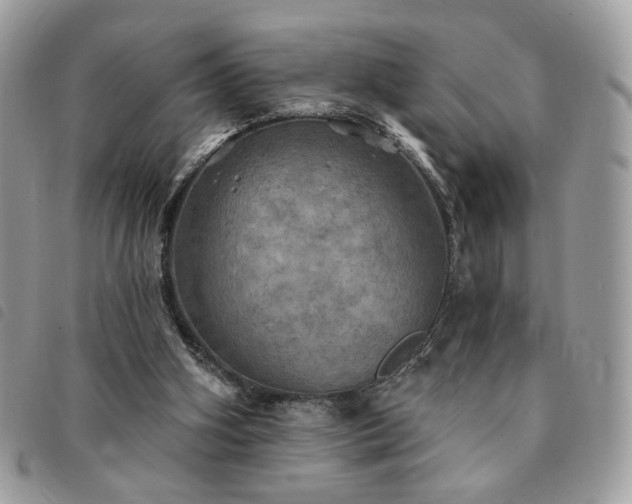 X0000091290106200708171355