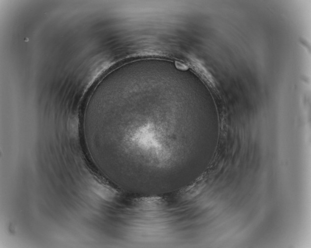 X0000091290108200708171355