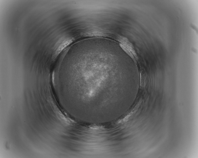 X0000091290109200708171355