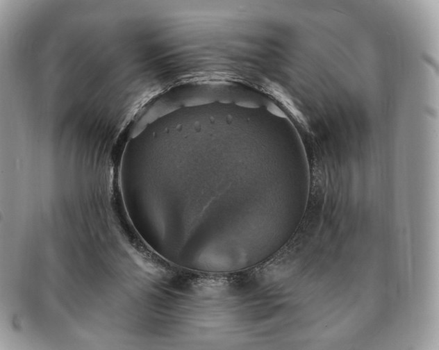 X0000091290110200708171355