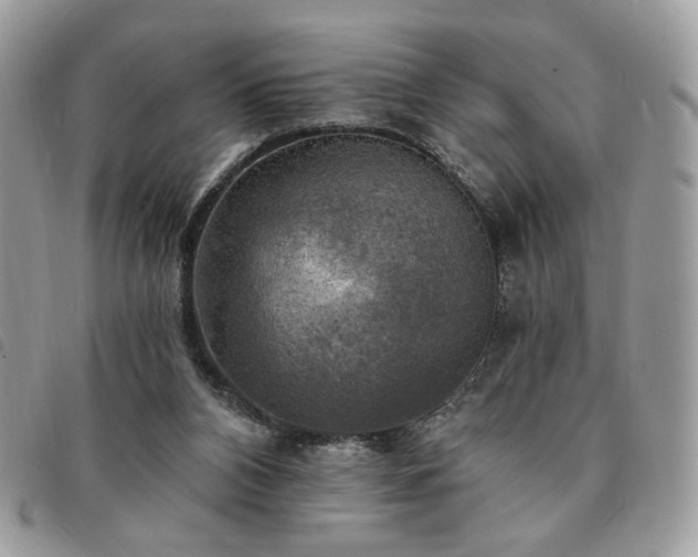 X0000091290112200708171355