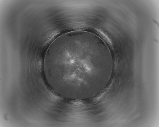 X0000091290113200708171354