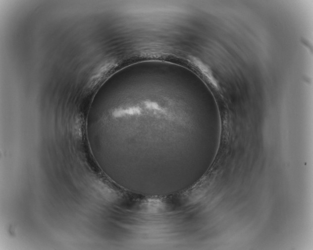 X0000091290114200708171354