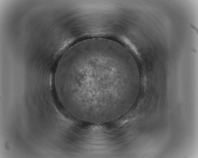 X0000091290115200708171354