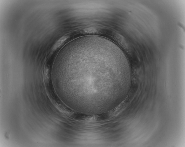 X0000091290116200708171354