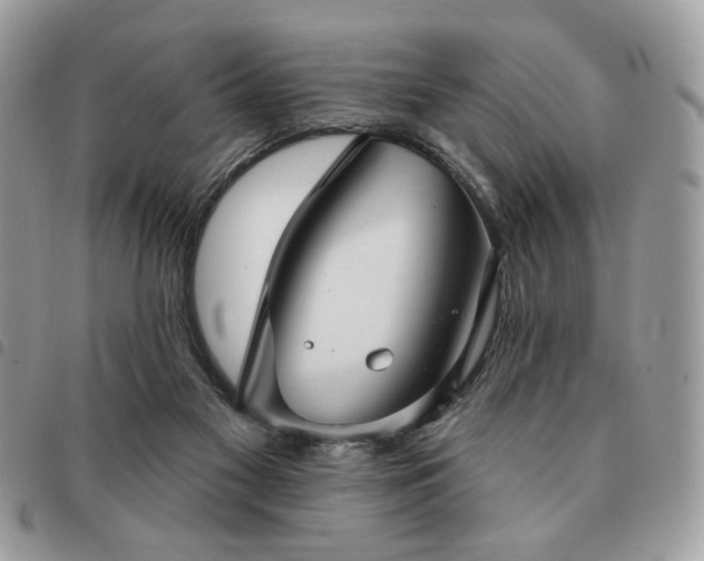 X0000091290117200708171354