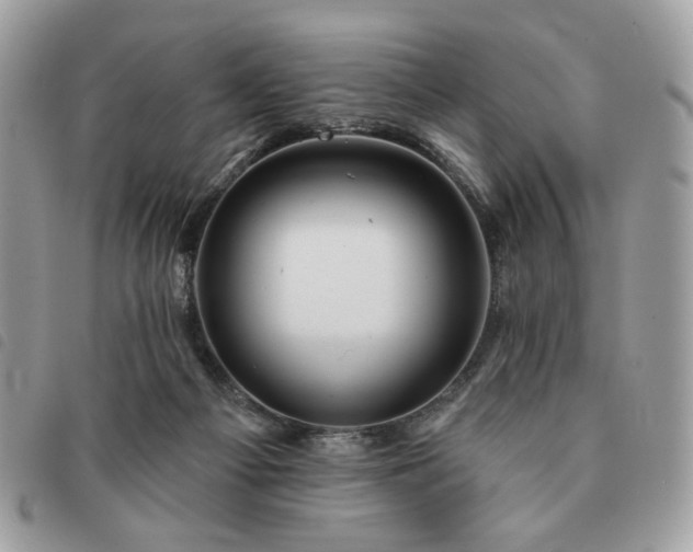 X0000091290121200708171354