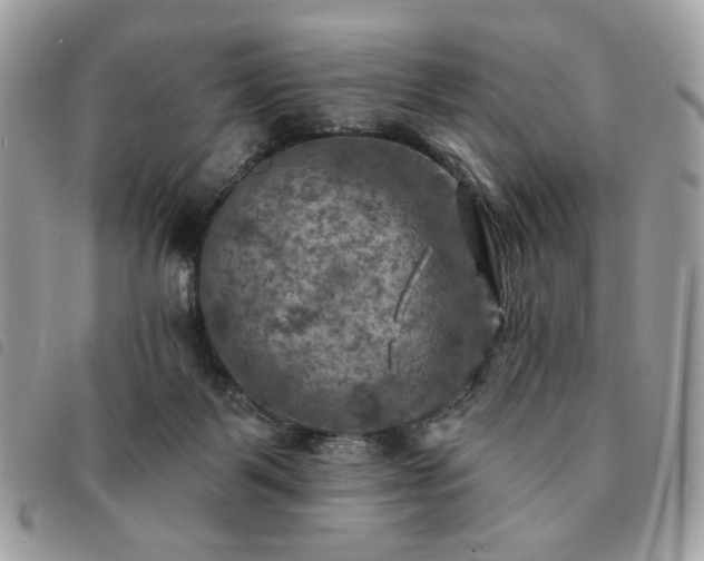 X0000091290123200708171354