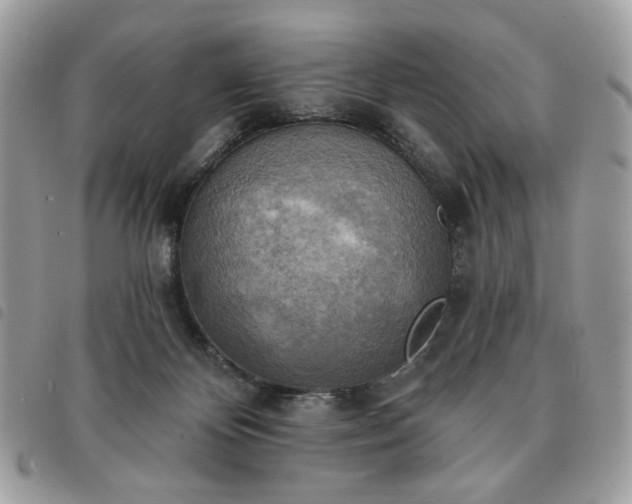 X0000091290124200708171354