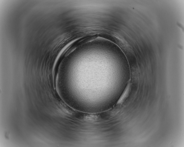 X0000091290125200708171354