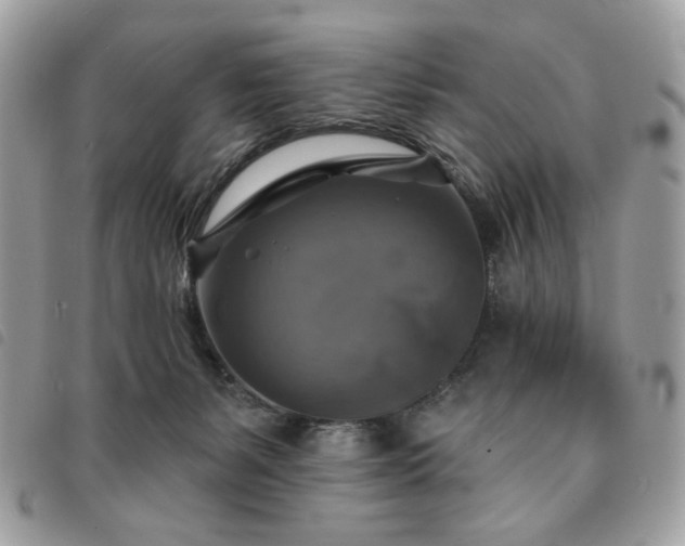 X0000091290127200708171354