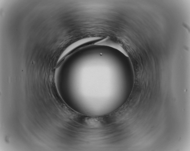 X0000091290129200708171354