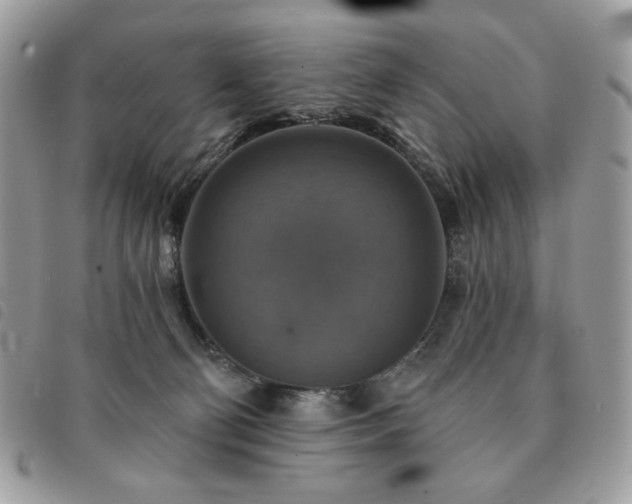 X0000091290130200708171354