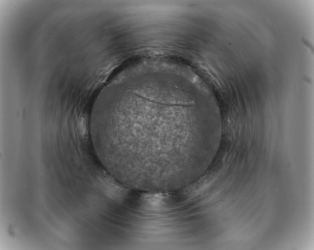 X0000091290131200708171354