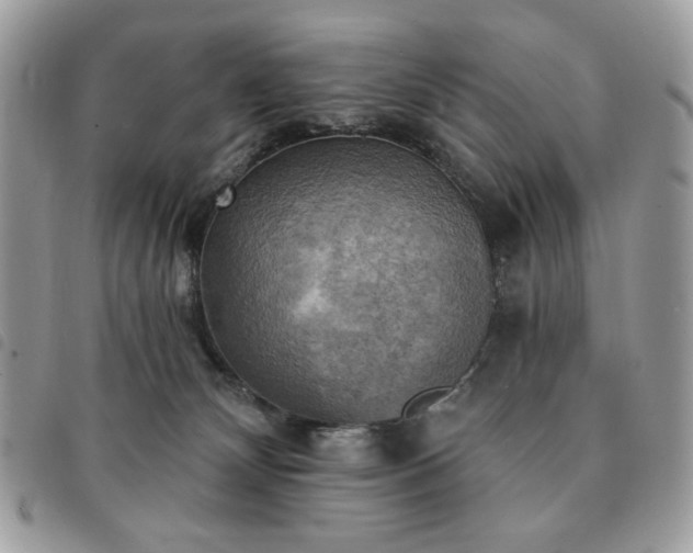 X0000091290132200708171354