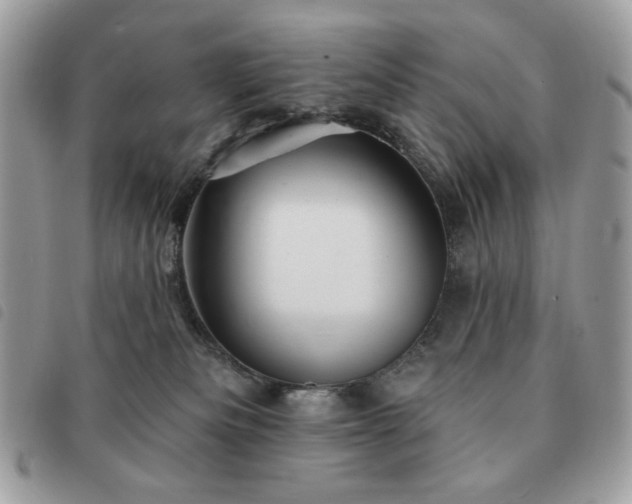 X0000091290133200708171354