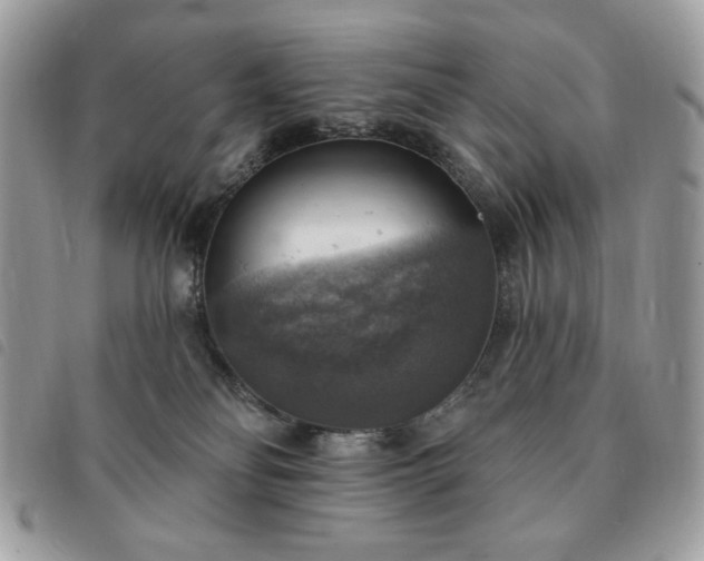 X0000091290134200708171354