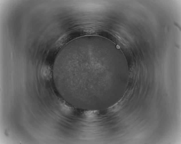 X0000091290136200708171354